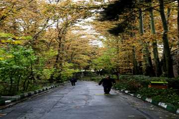 پاییز در دانشگاه علوم بهزیستی و توانبخشی